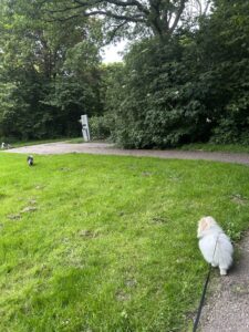img 1101[1]