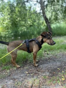 image00003[1]