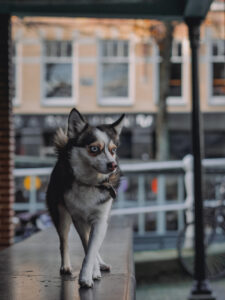 image00022