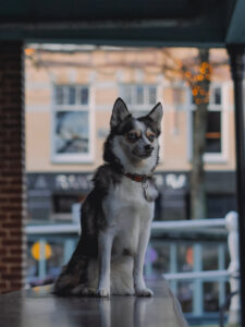 image00023