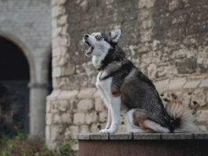 image00025