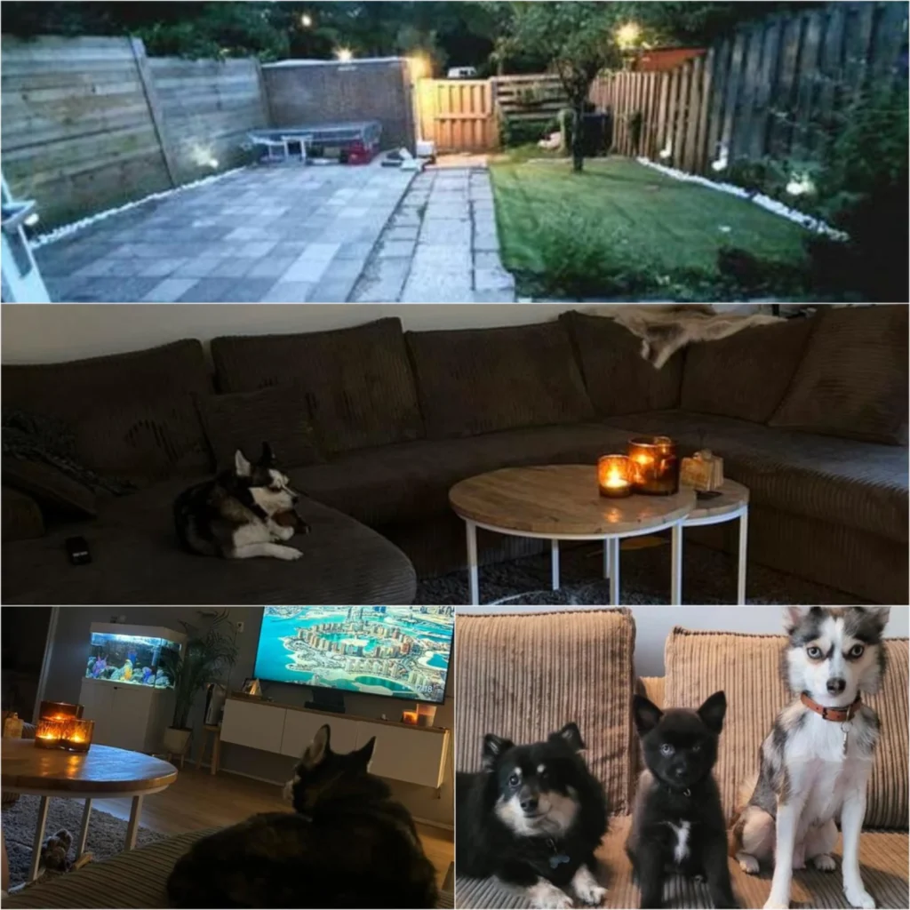 photo output 4